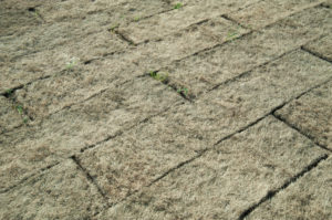 Turf on the playground Turf on the playground